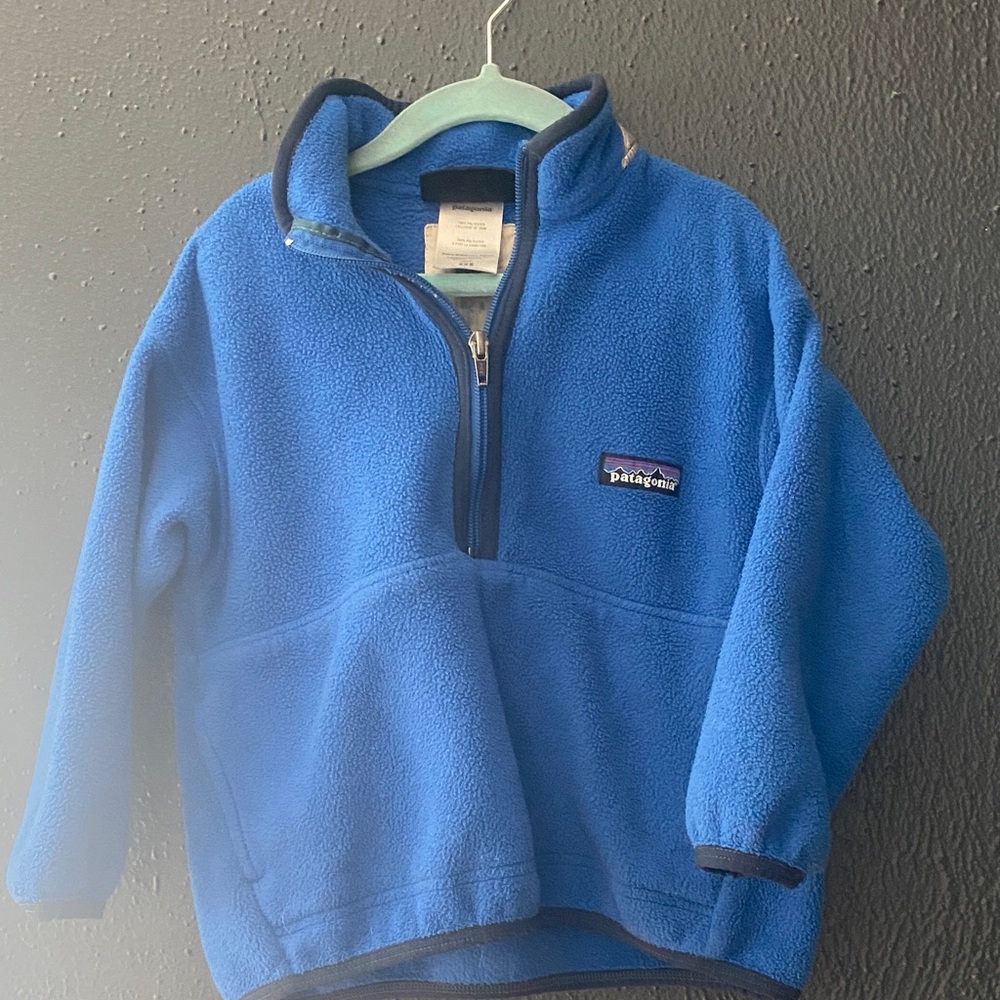 Patagonia Vibrant Blue Half-Zip Fleece